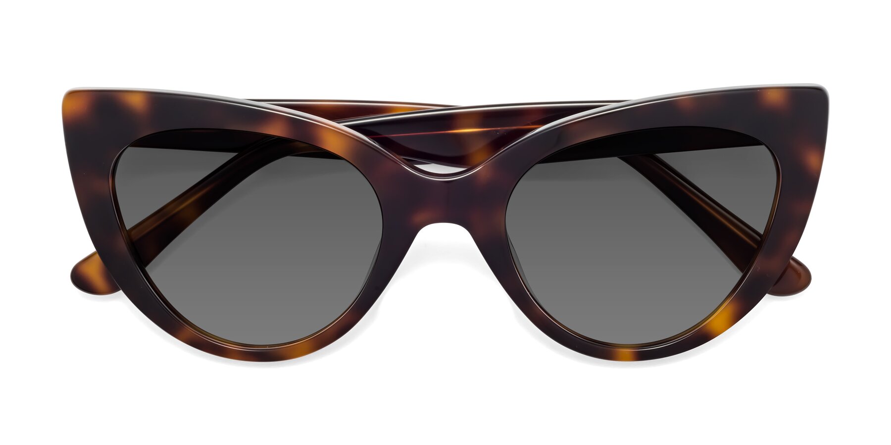 Folded Front of Tiesi in Tortoise with Medium Gray Tinted Lenses