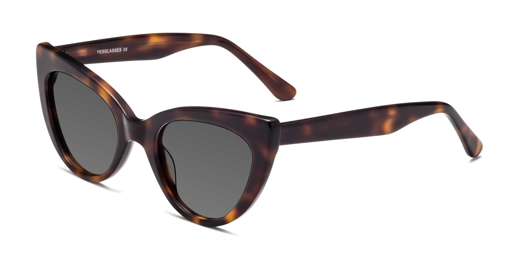Angle of Tiesi in Tortoise with Medium Gray Tinted Lenses