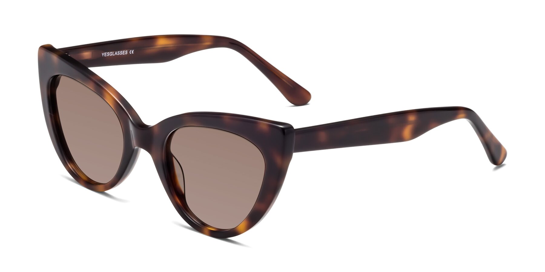 Angle of Tiesi in Tortoise with Medium Brown Tinted Lenses