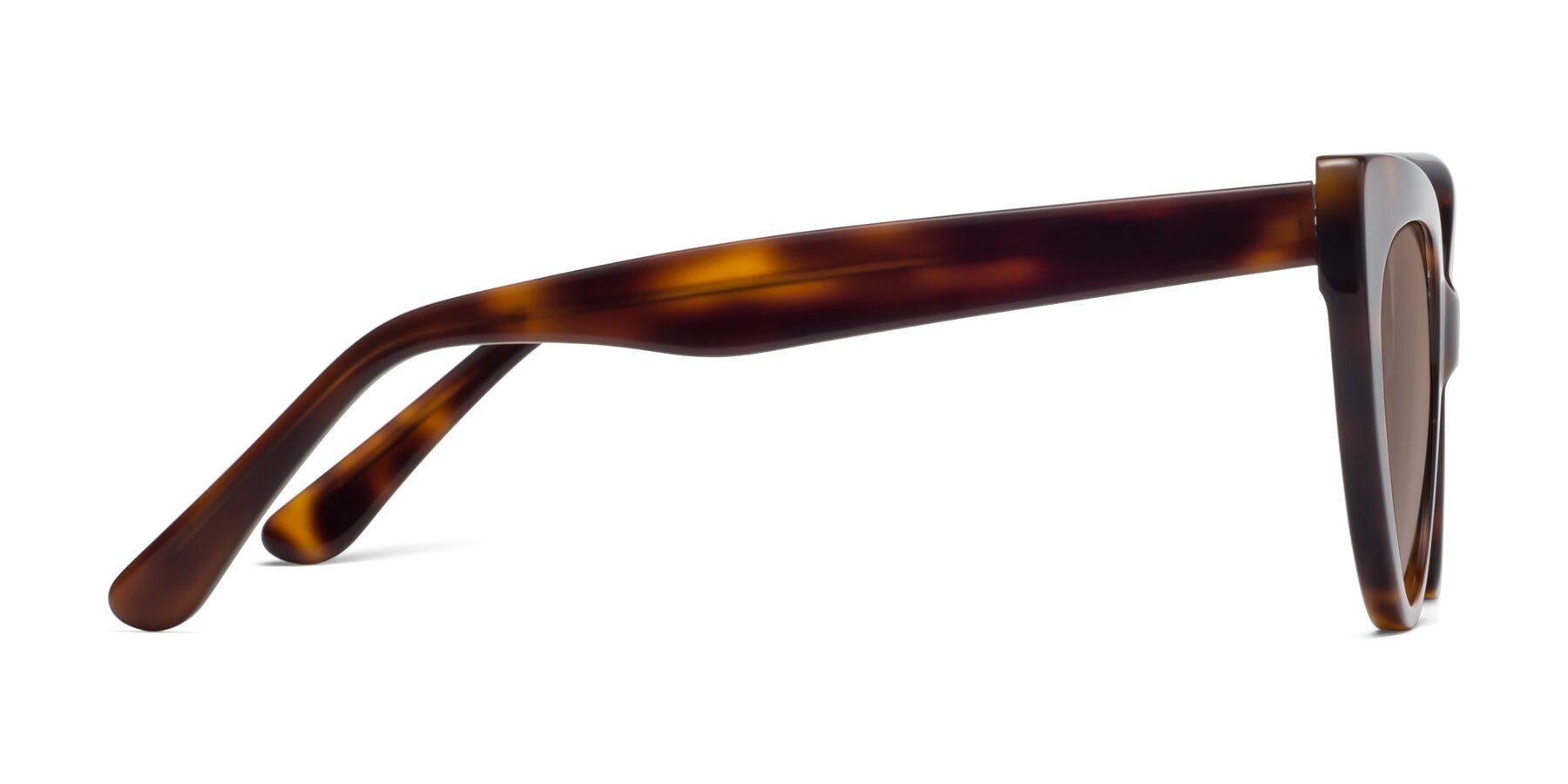 Side of Tiesi in Tortoise with Medium Brown Tinted Lenses