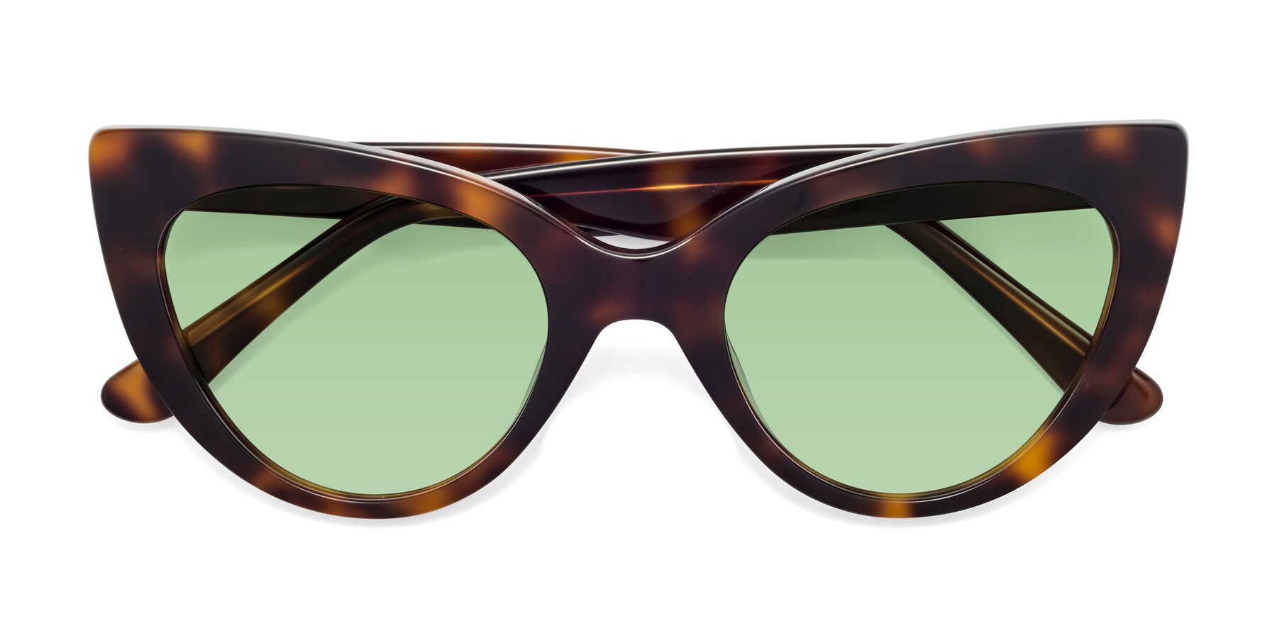 Folded Front of Tiesi in Tortoise with Medium Green Tinted Lenses