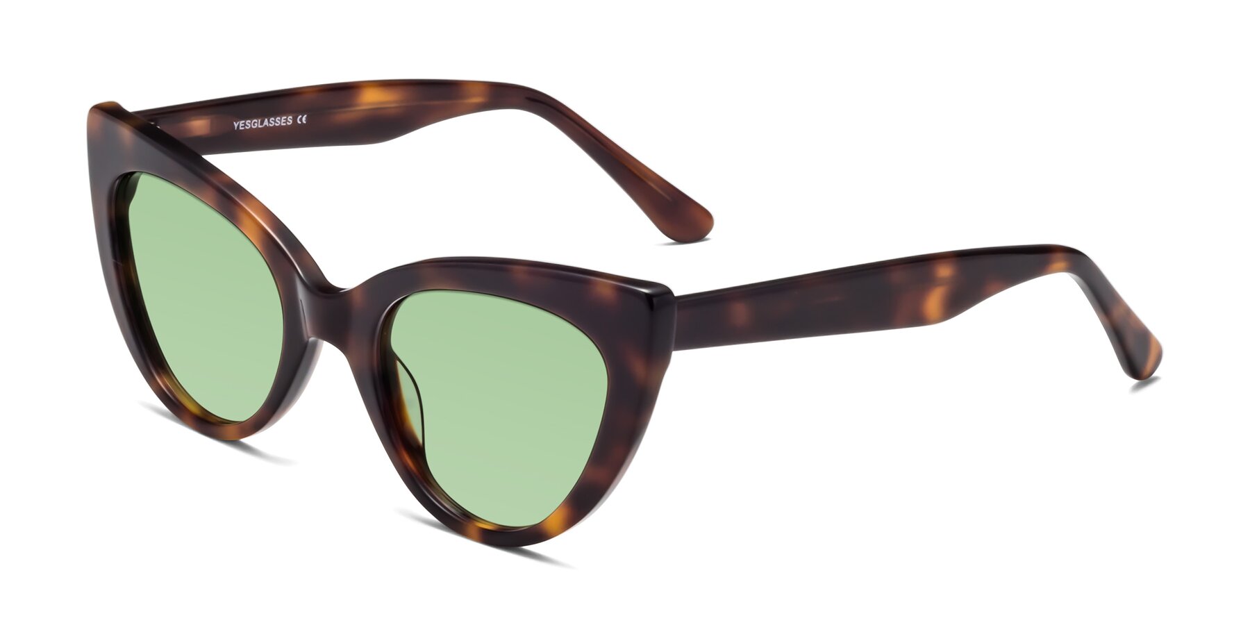 Angle of Tiesi in Tortoise with Medium Green Tinted Lenses