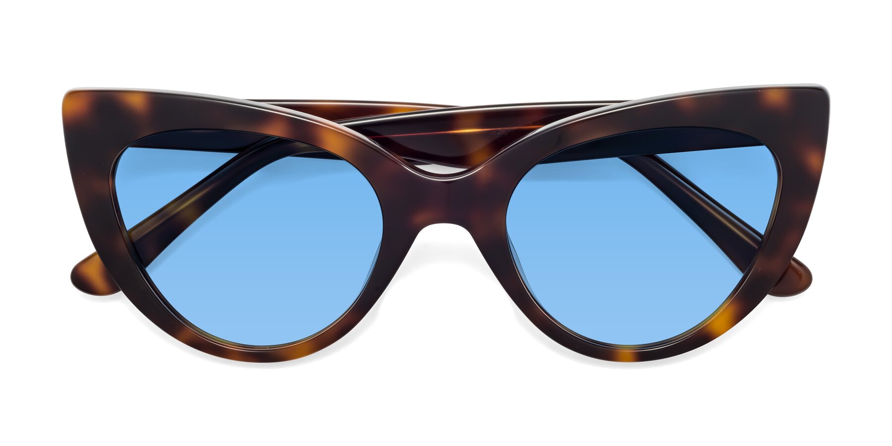 Folded Front of Tiesi in Tortoise with Medium Blue Tinted Lenses
