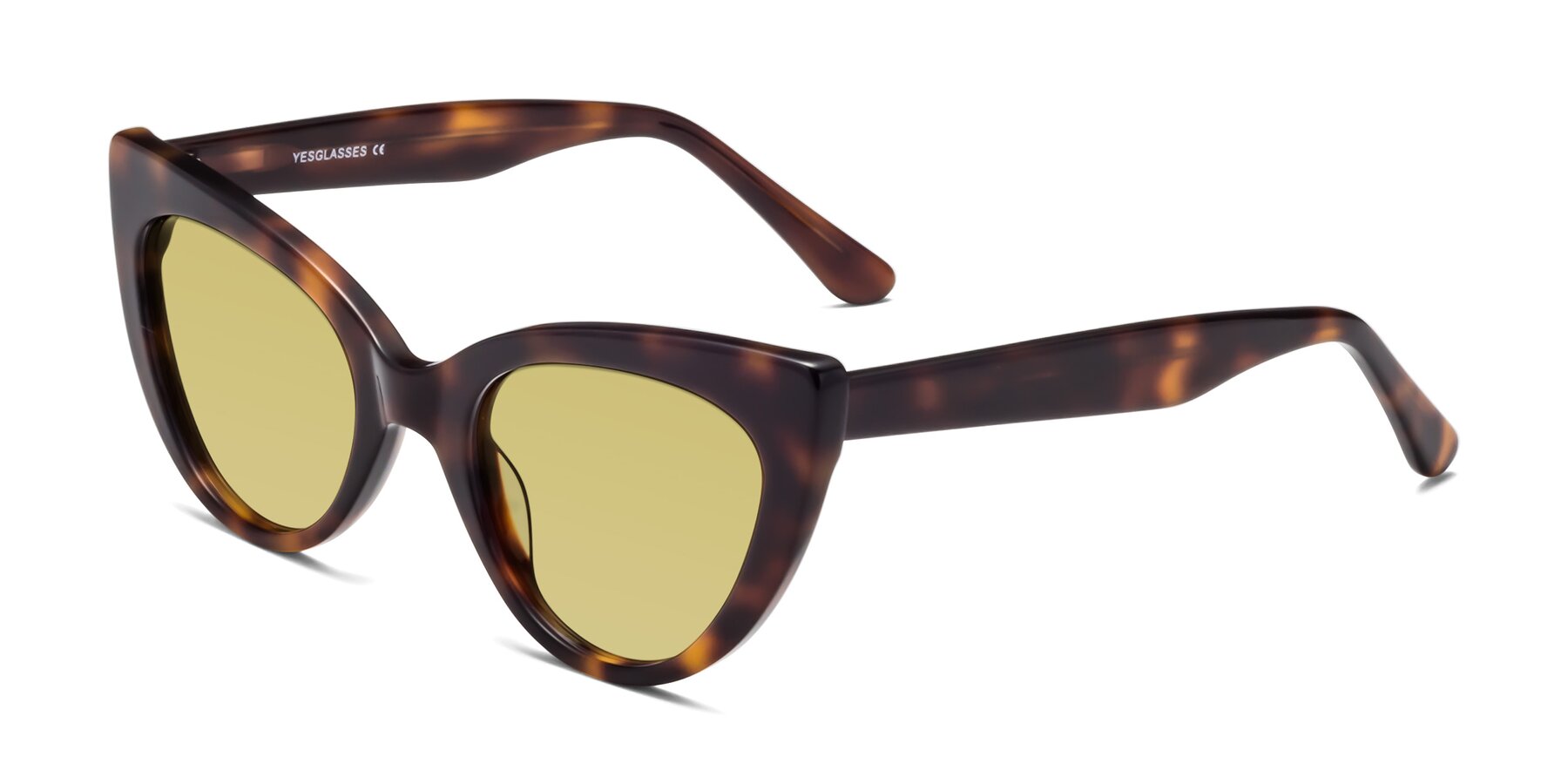 Angle of Tiesi in Tortoise with Medium Champagne Tinted Lenses