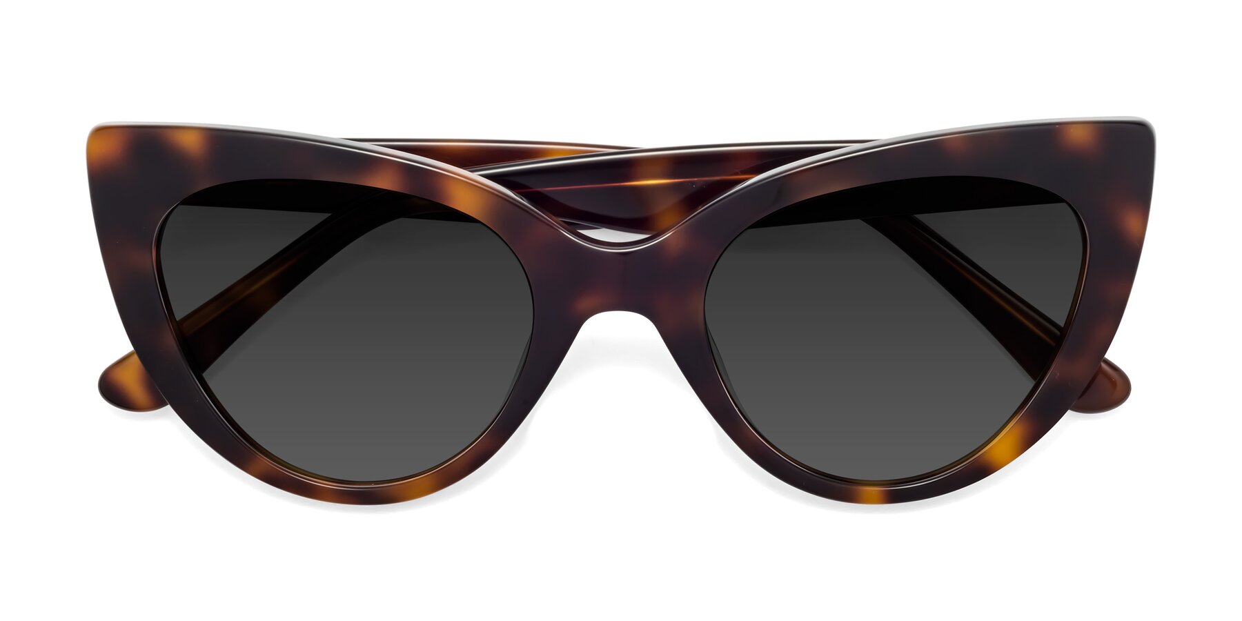 Folded Front of Tiesi in Tortoise with Gray Tinted Lenses