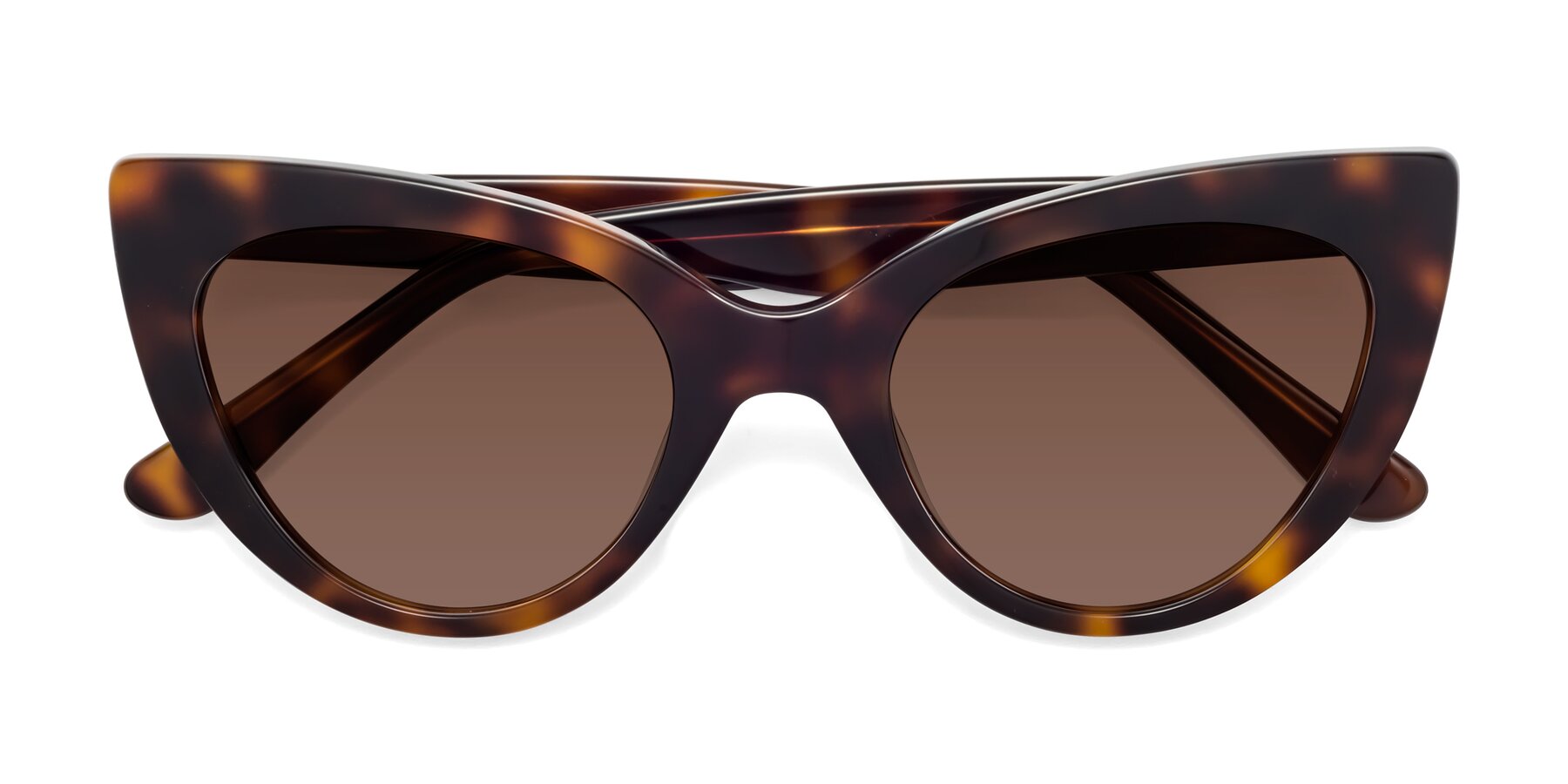 Folded Front of Tiesi in Tortoise with Brown Tinted Lenses