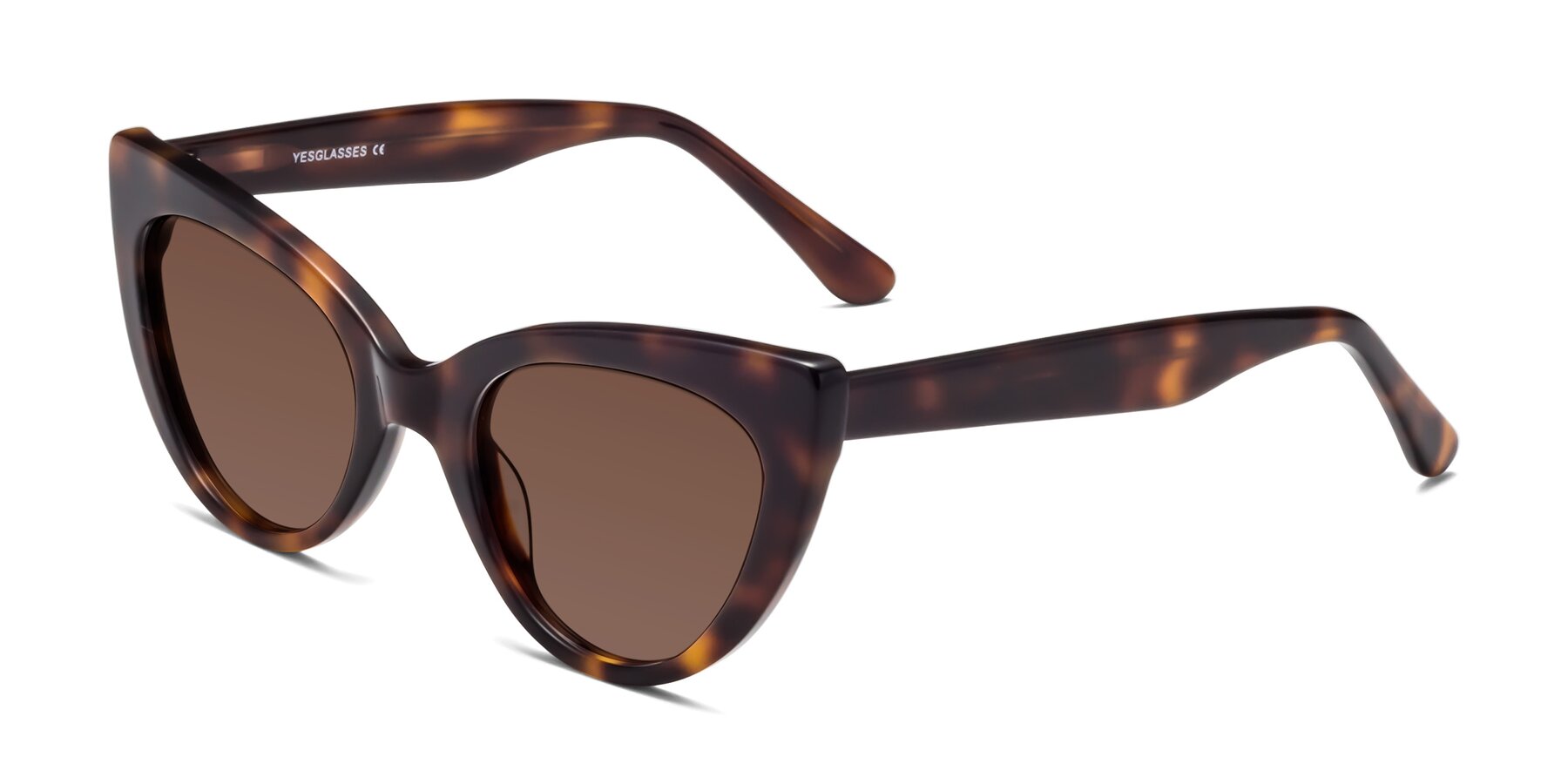 Angle of Tiesi in Tortoise with Brown Tinted Lenses