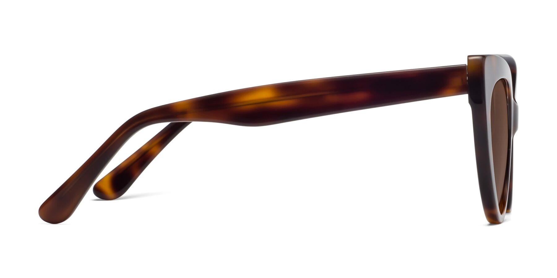 Side of Tiesi in Tortoise with Brown Tinted Lenses