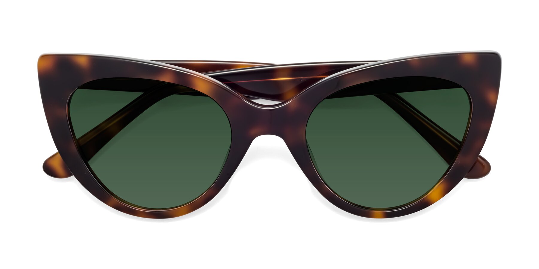 Folded Front of Tiesi in Tortoise with Green Tinted Lenses
