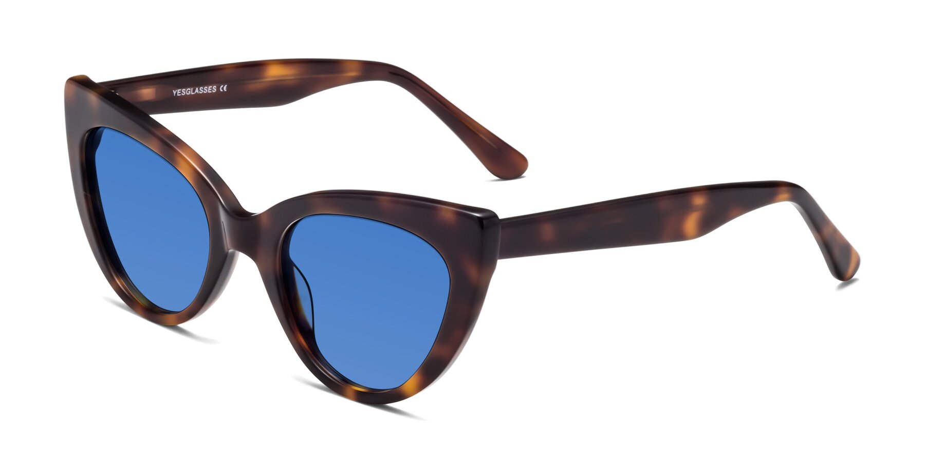 Angle of Tiesi in Tortoise with Blue Tinted Lenses