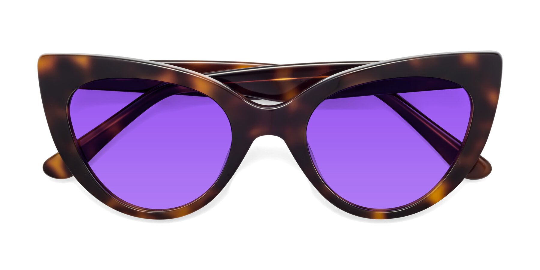 Folded Front of Tiesi in Tortoise with Purple Tinted Lenses