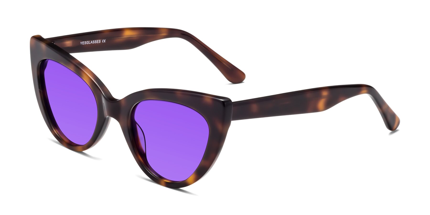 Angle of Tiesi in Tortoise with Purple Tinted Lenses