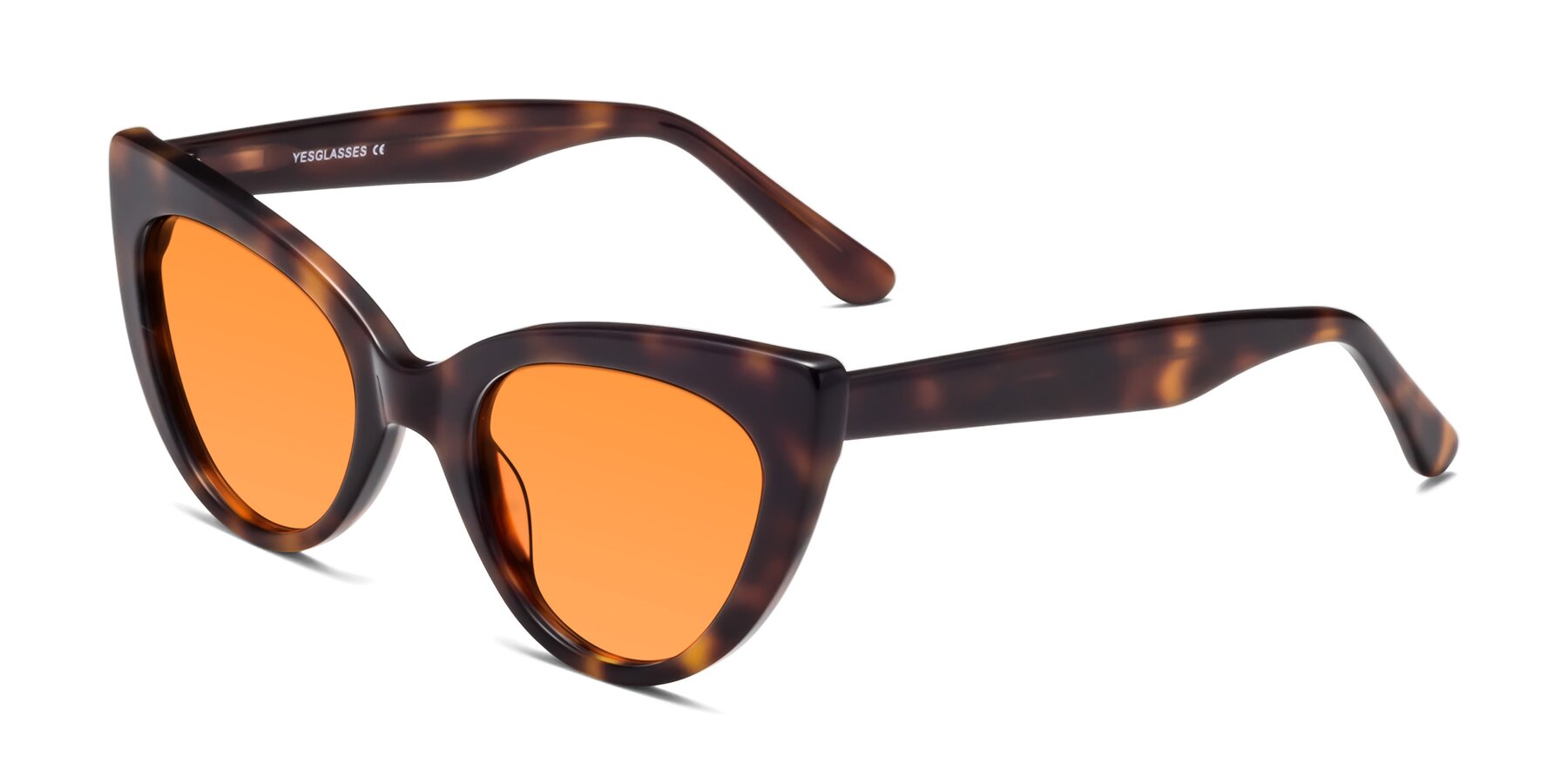 Angle of Tiesi in Tortoise with Orange Tinted Lenses