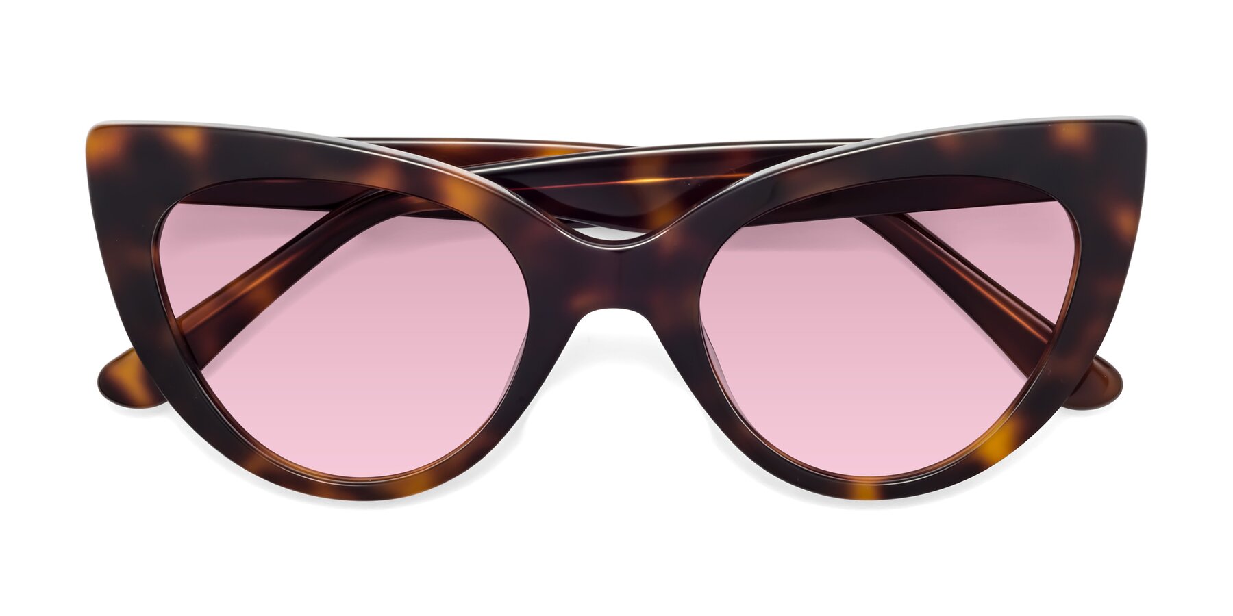 Folded Front of Tiesi in Tortoise with Light Wine Tinted Lenses