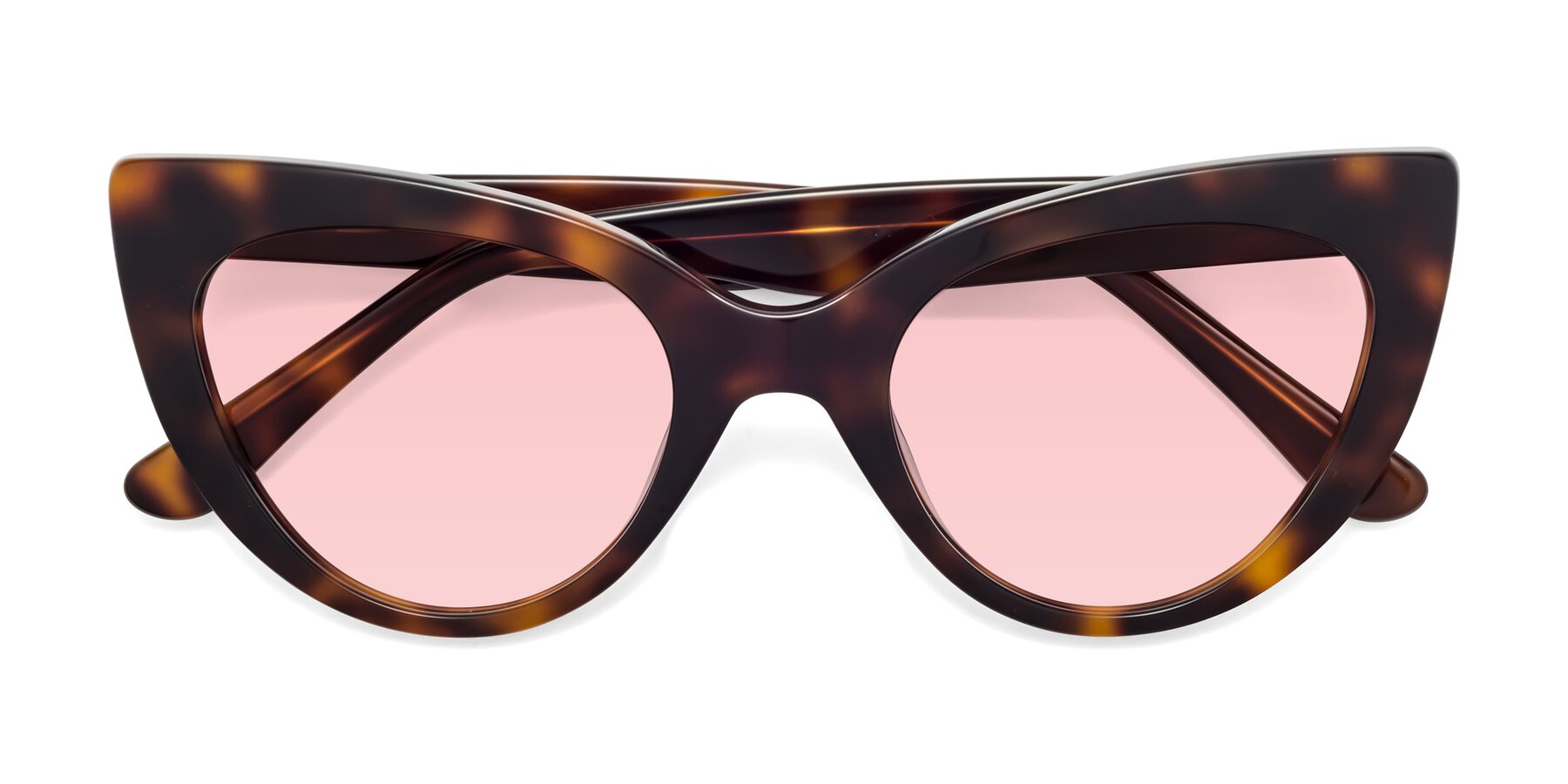 Folded Front of Tiesi in Tortoise with Light Garnet Tinted Lenses