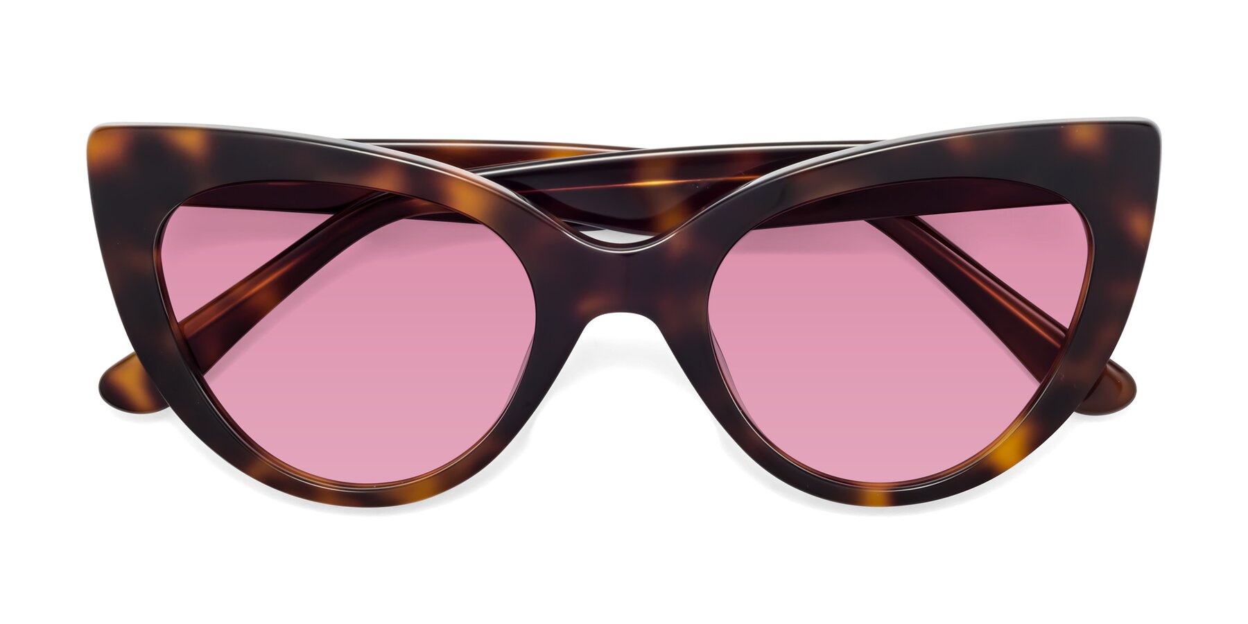 Folded Front of Tiesi in Tortoise with Medium Wine Tinted Lenses