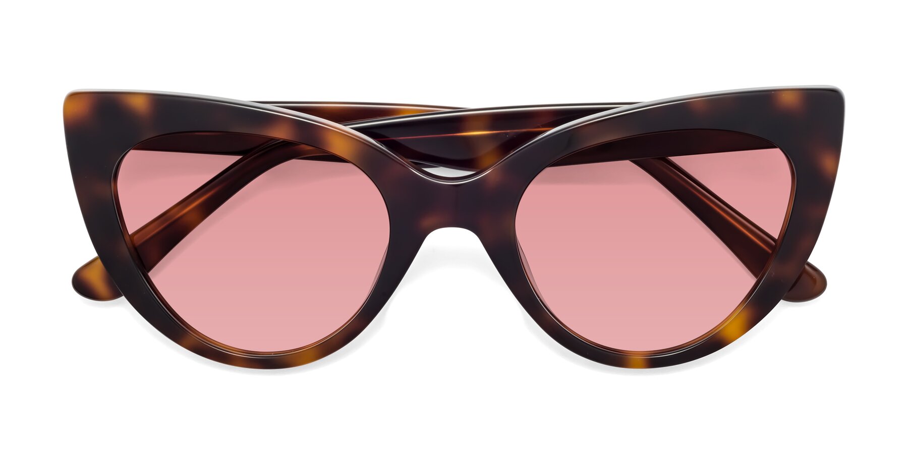 Folded Front of Tiesi in Tortoise with Medium Garnet Tinted Lenses