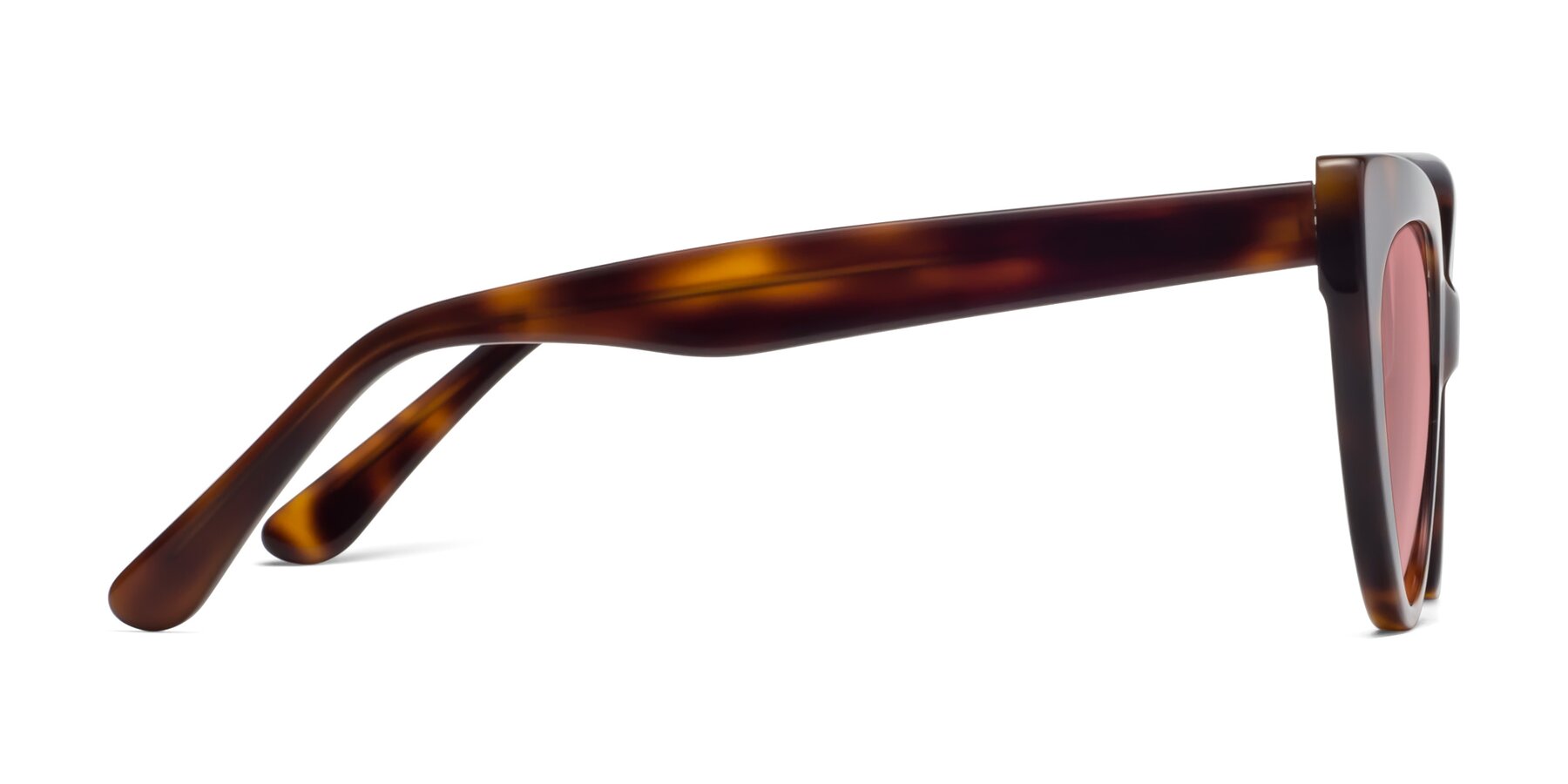 Side of Tiesi in Tortoise with Medium Garnet Tinted Lenses