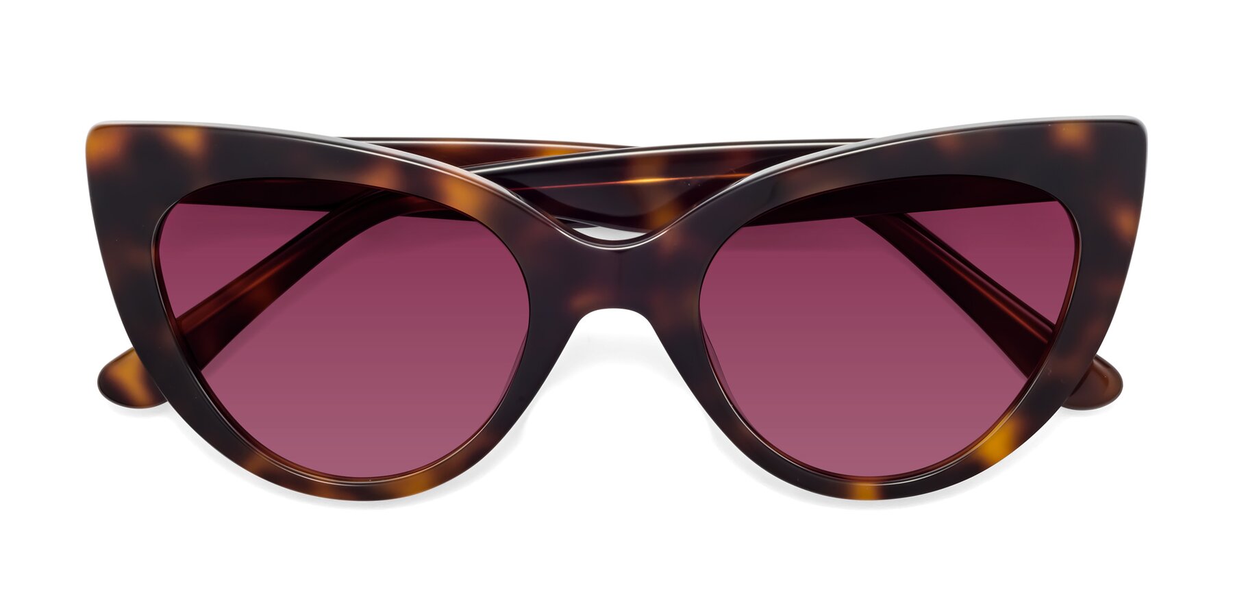 Folded Front of Tiesi in Tortoise with Wine Tinted Lenses