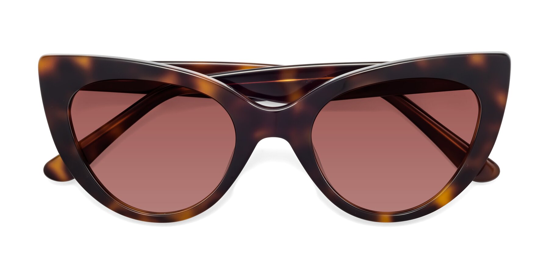 Folded Front of Tiesi in Tortoise with Garnet Tinted Lenses