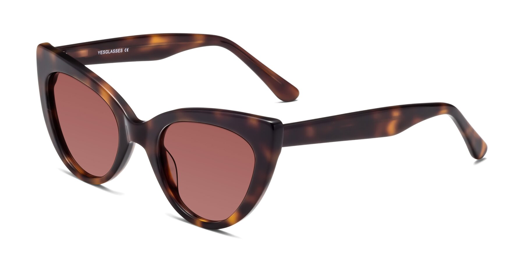 Angle of Tiesi in Tortoise with Garnet Tinted Lenses