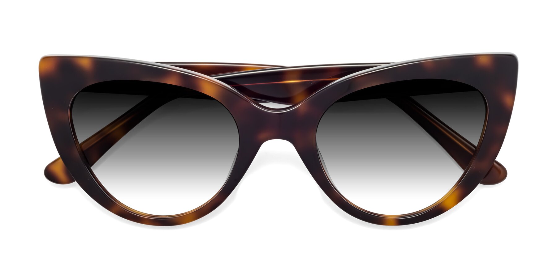 Folded Front of Tiesi in Tortoise with Gray Gradient Lenses