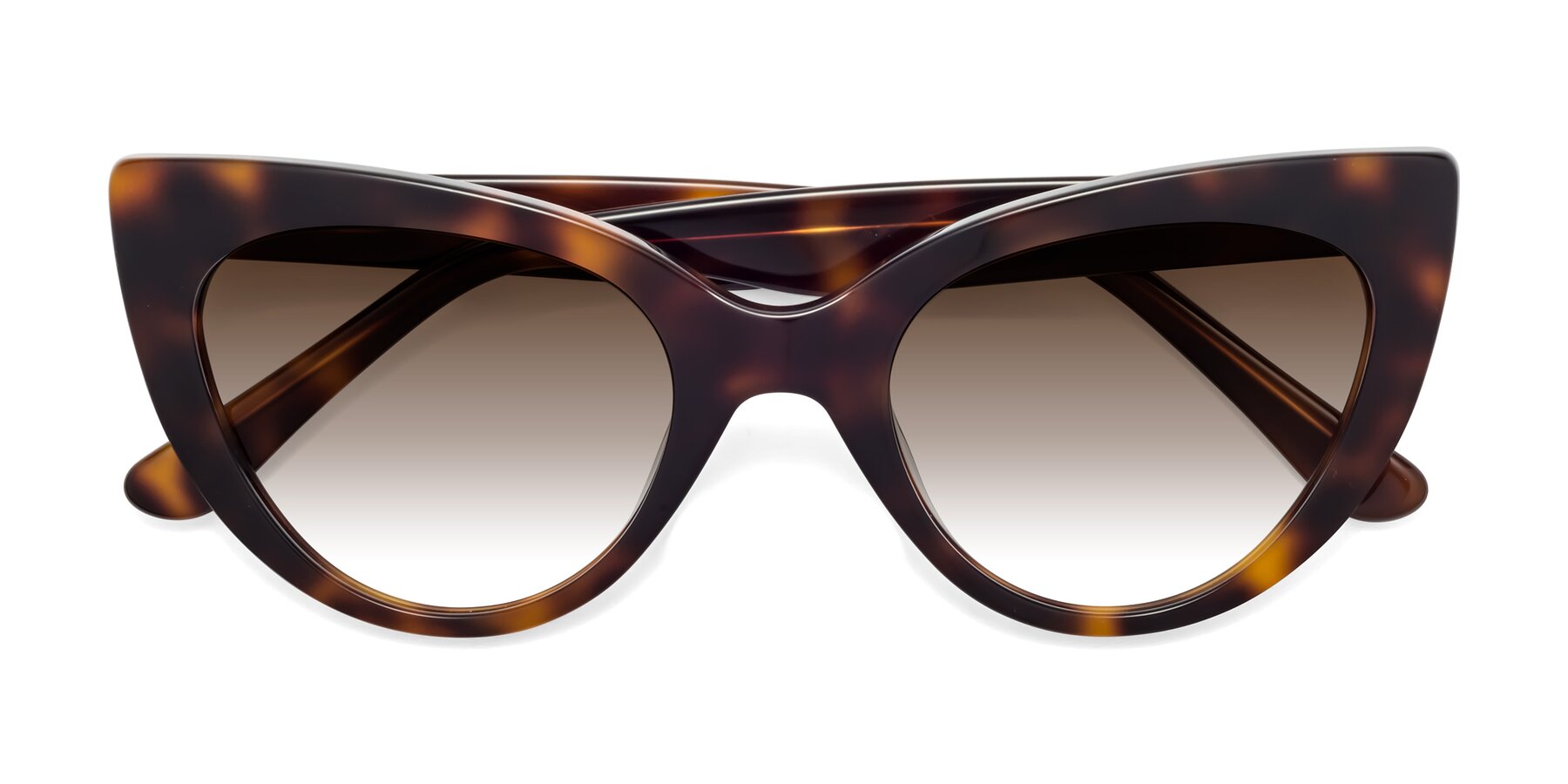 Folded Front of Tiesi in Tortoise with Brown Gradient Lenses