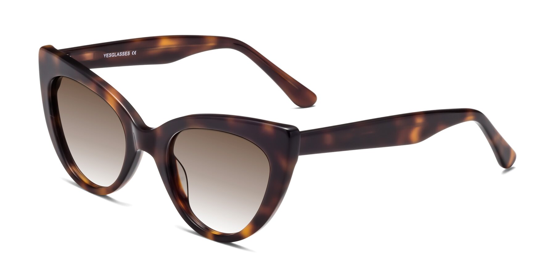 Angle of Tiesi in Tortoise with Brown Gradient Lenses