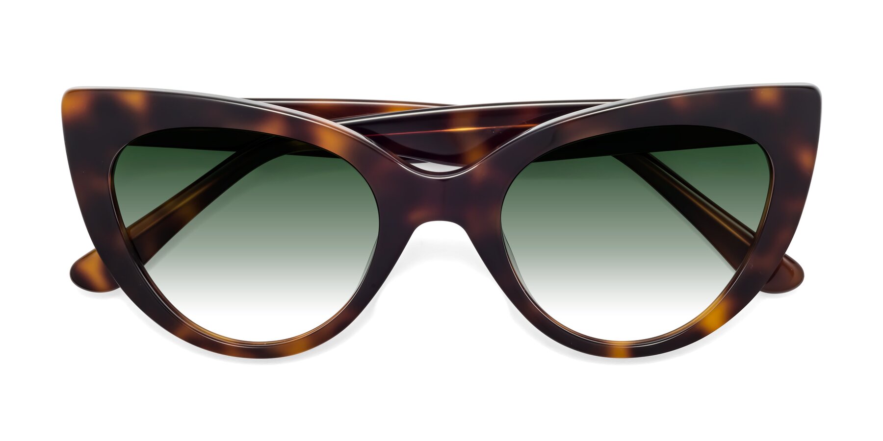 Folded Front of Tiesi in Tortoise with Green Gradient Lenses