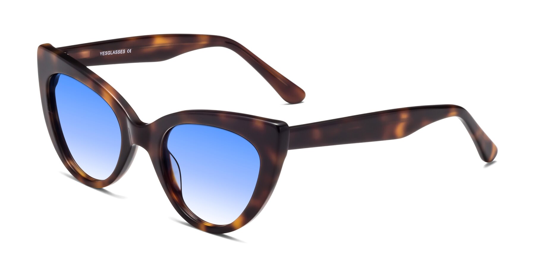 Angle of Tiesi in Tortoise with Blue Gradient Lenses