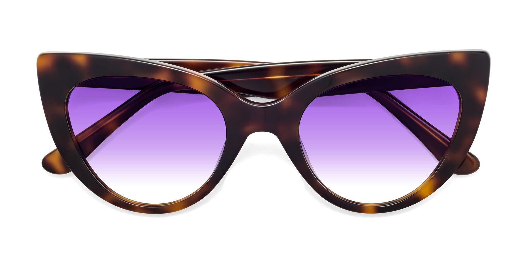 Folded Front of Tiesi in Tortoise with Purple Gradient Lenses