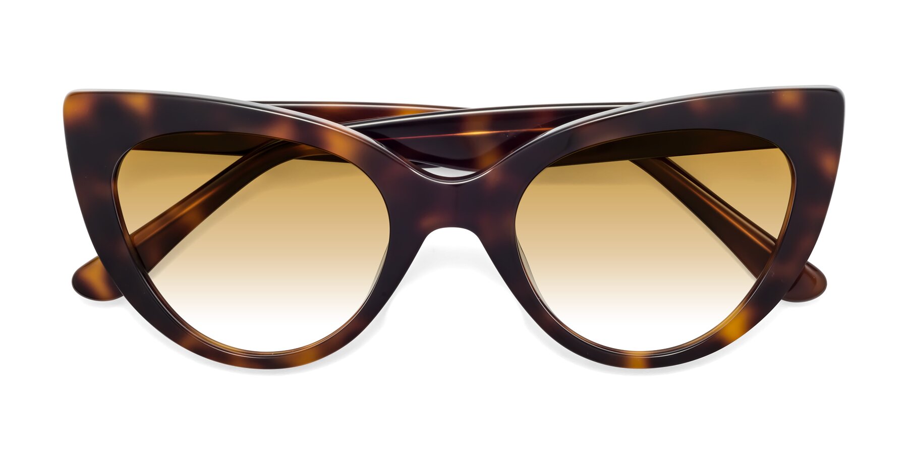 Folded Front of Tiesi in Tortoise with Champagne Gradient Lenses