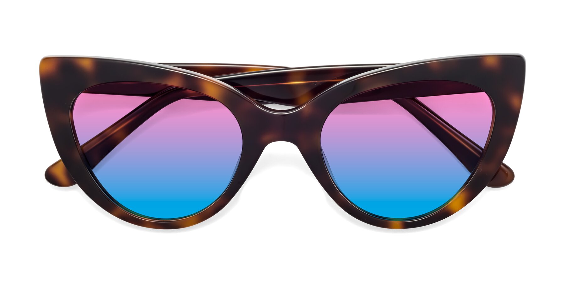 Folded Front of Tiesi in Tortoise with Pink / Blue Gradient Lenses