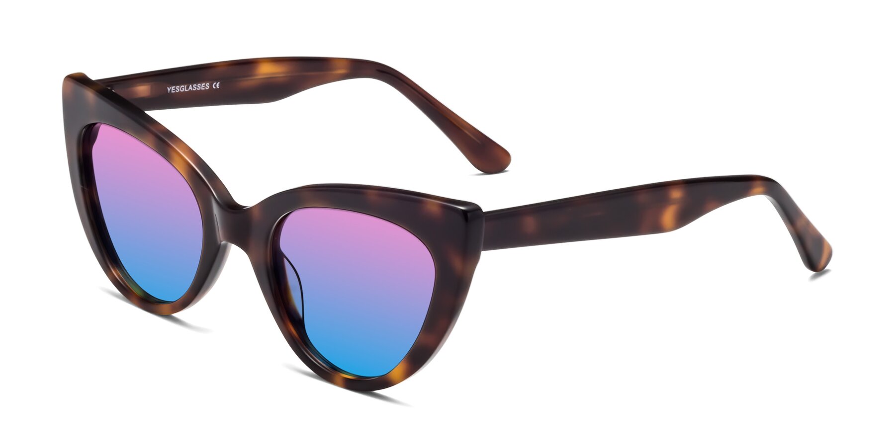Angle of Tiesi in Tortoise with Pink / Blue Gradient Lenses