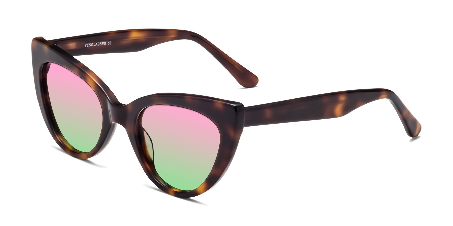 Angle of Tiesi in Tortoise with Pink / Green Gradient Lenses