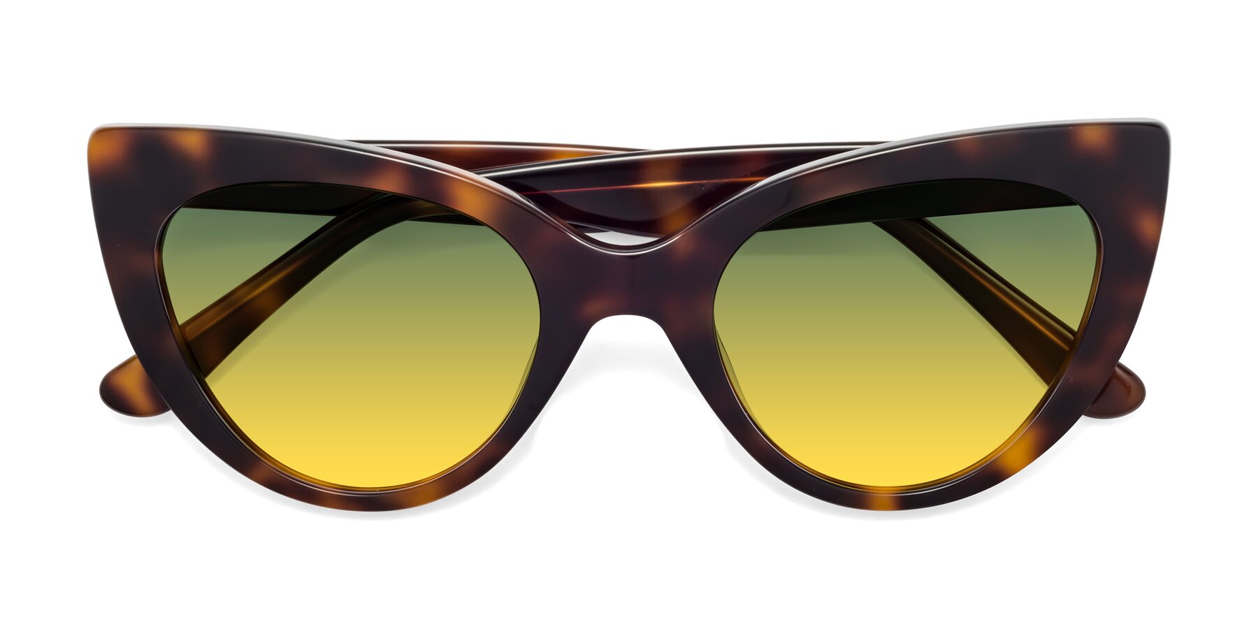 Folded Front of Tiesi in Tortoise with Green / Yellow Gradient Lenses