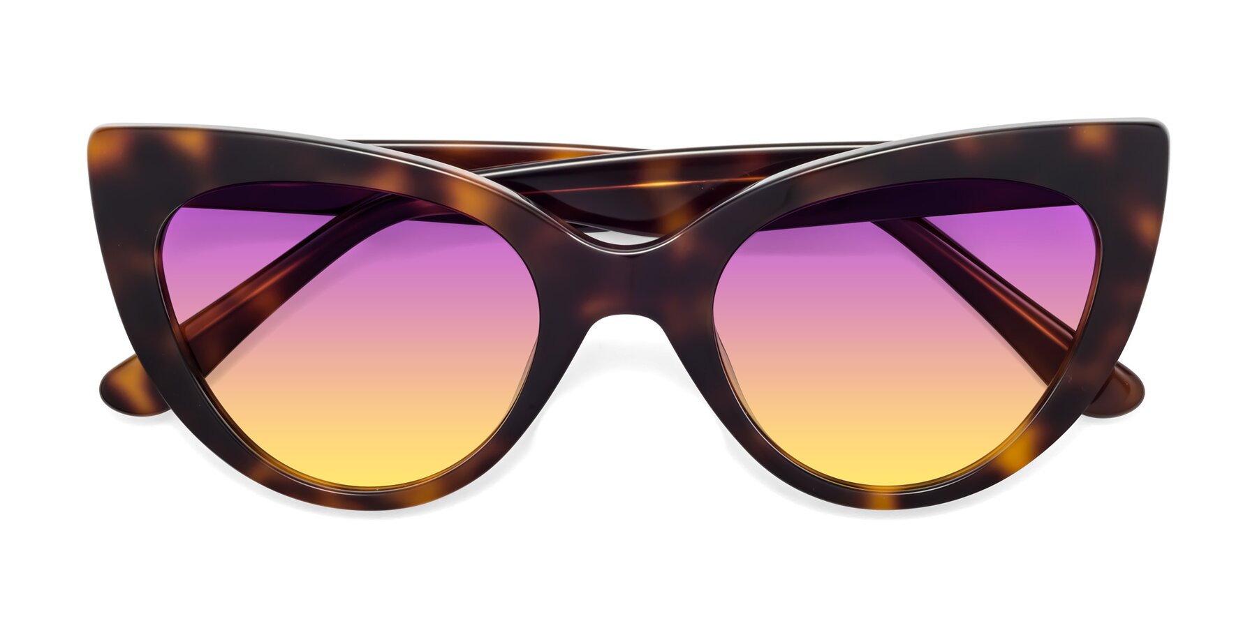 Folded Front of Tiesi in Tortoise with Purple / Yellow Gradient Lenses