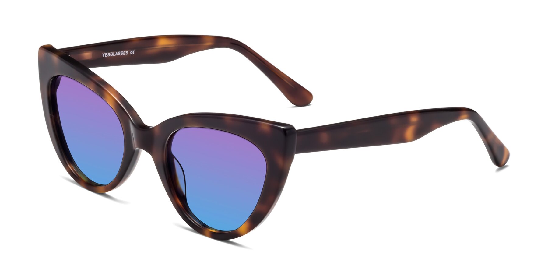 Angle of Tiesi in Tortoise with Purple / Blue Gradient Lenses