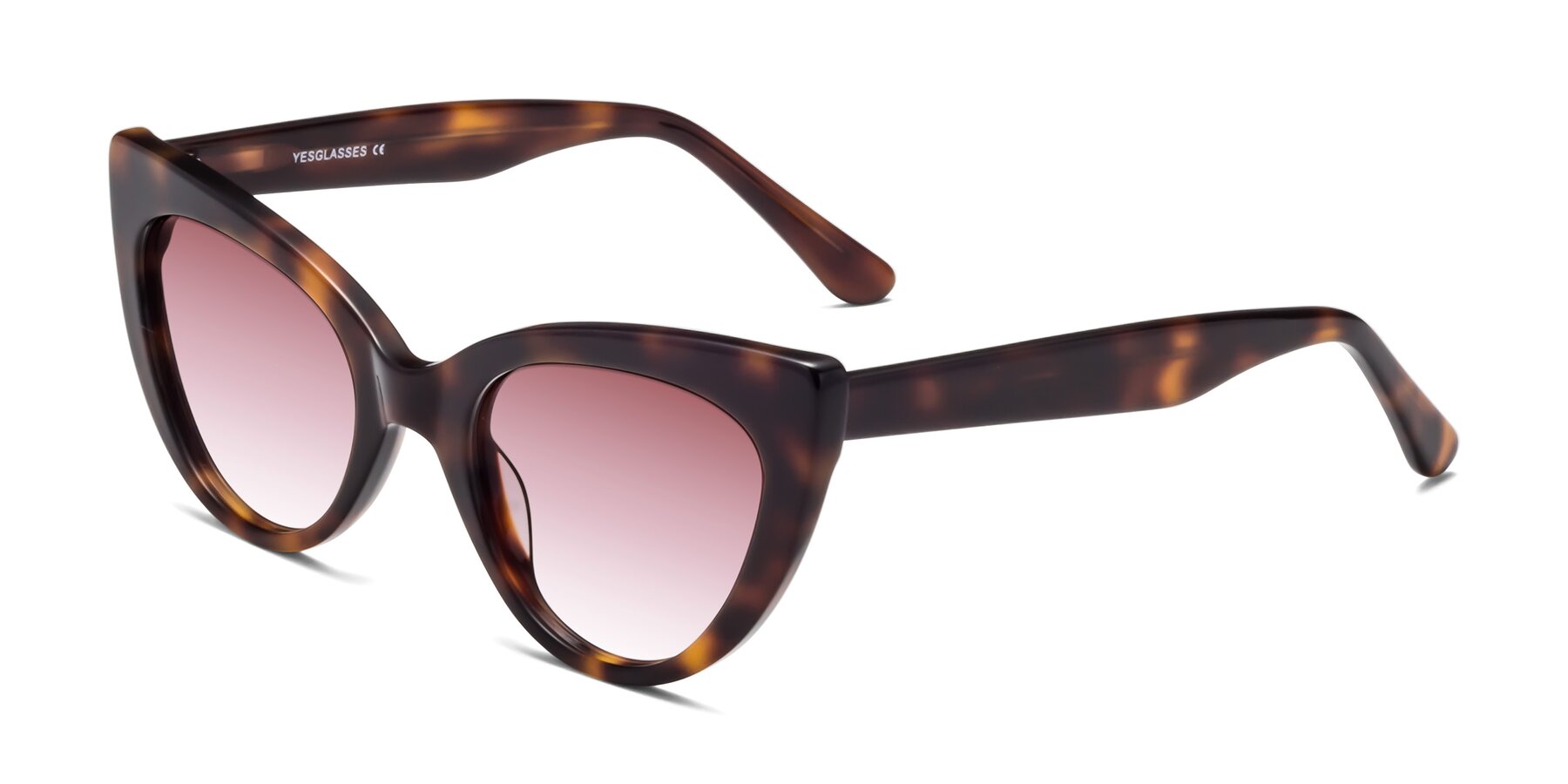 Angle of Tiesi in Tortoise with Garnet Gradient Lenses