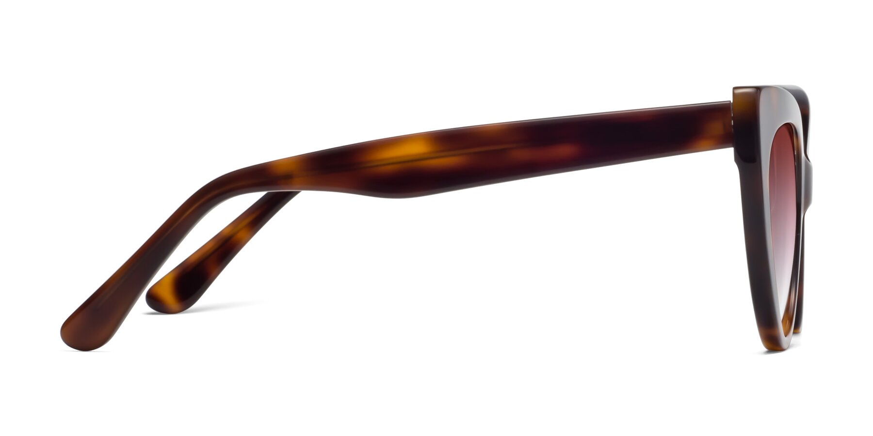 Side of Tiesi in Tortoise with Garnet Gradient Lenses