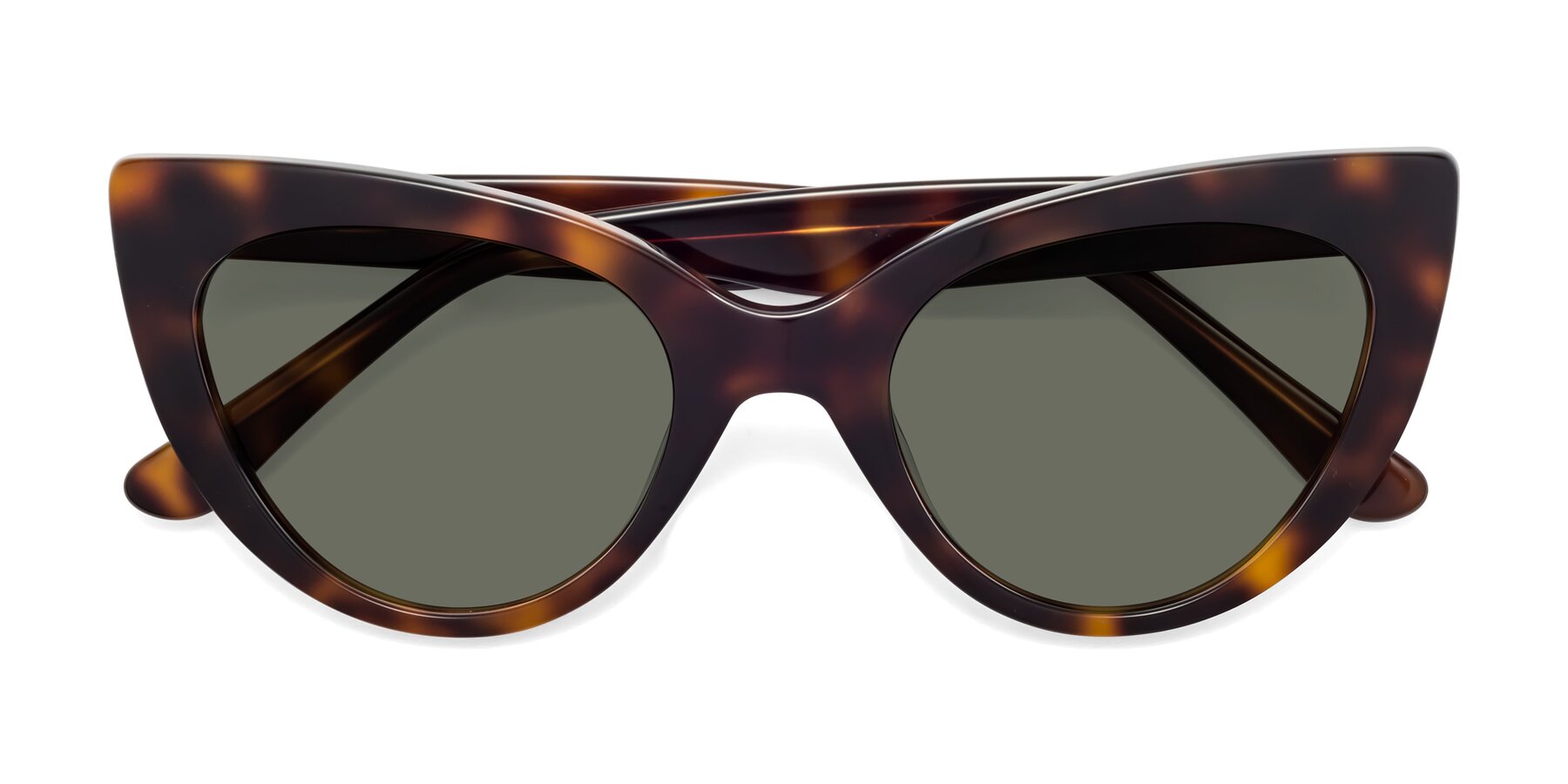 Folded Front of Tiesi in Tortoise with Gray Polarized Lenses