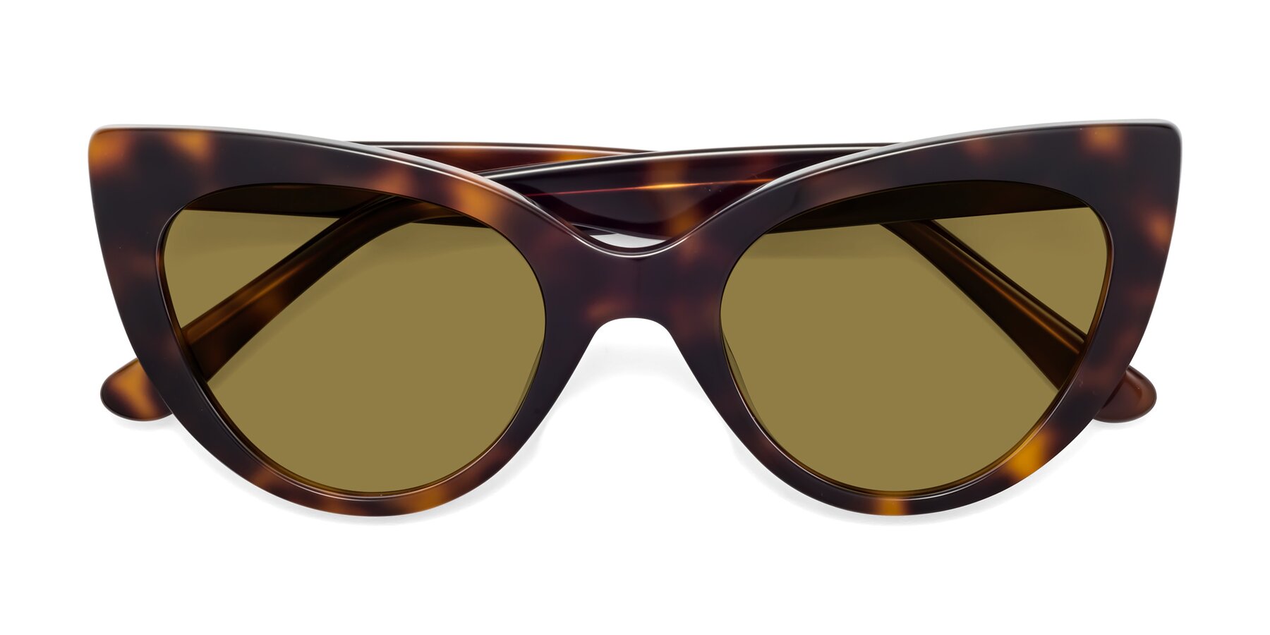 Folded Front of Tiesi in Tortoise with Brown Polarized Lenses