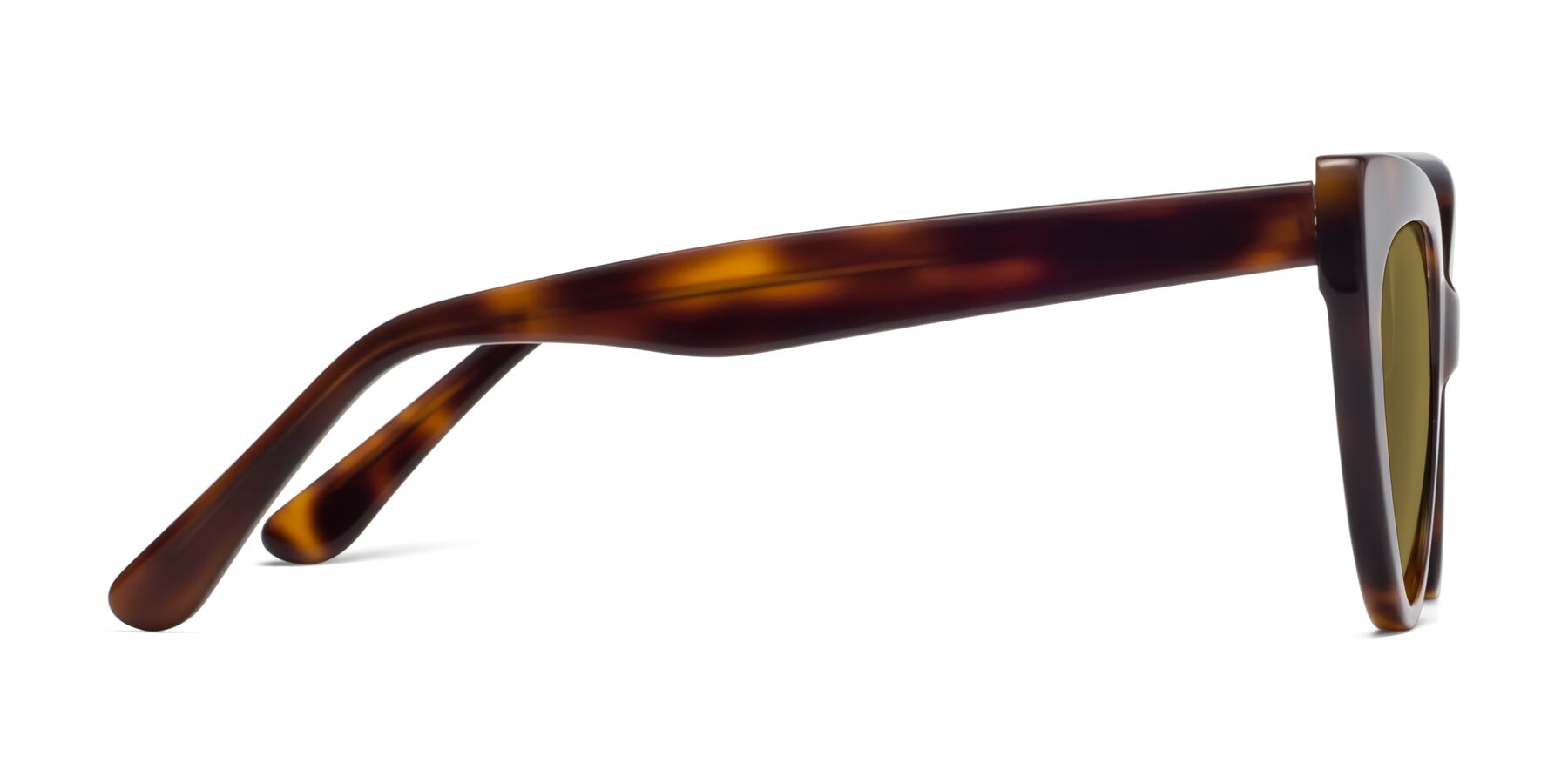 Side of Tiesi in Tortoise with Brown Polarized Lenses