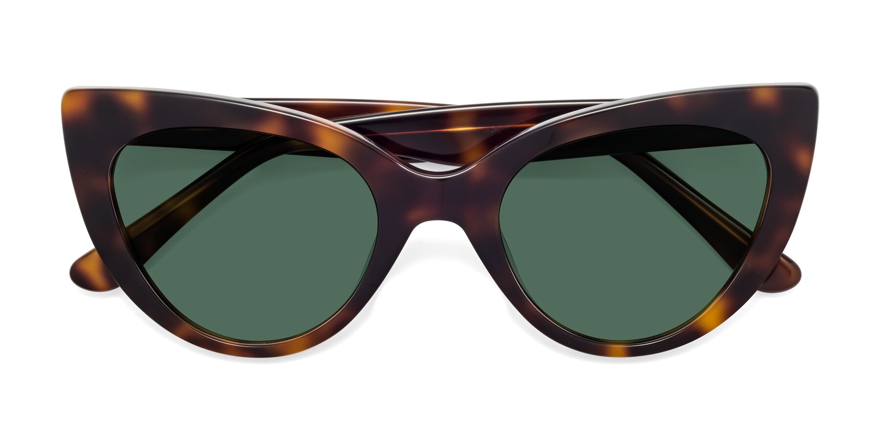 Folded Front of Tiesi in Tortoise with Green Polarized Lenses