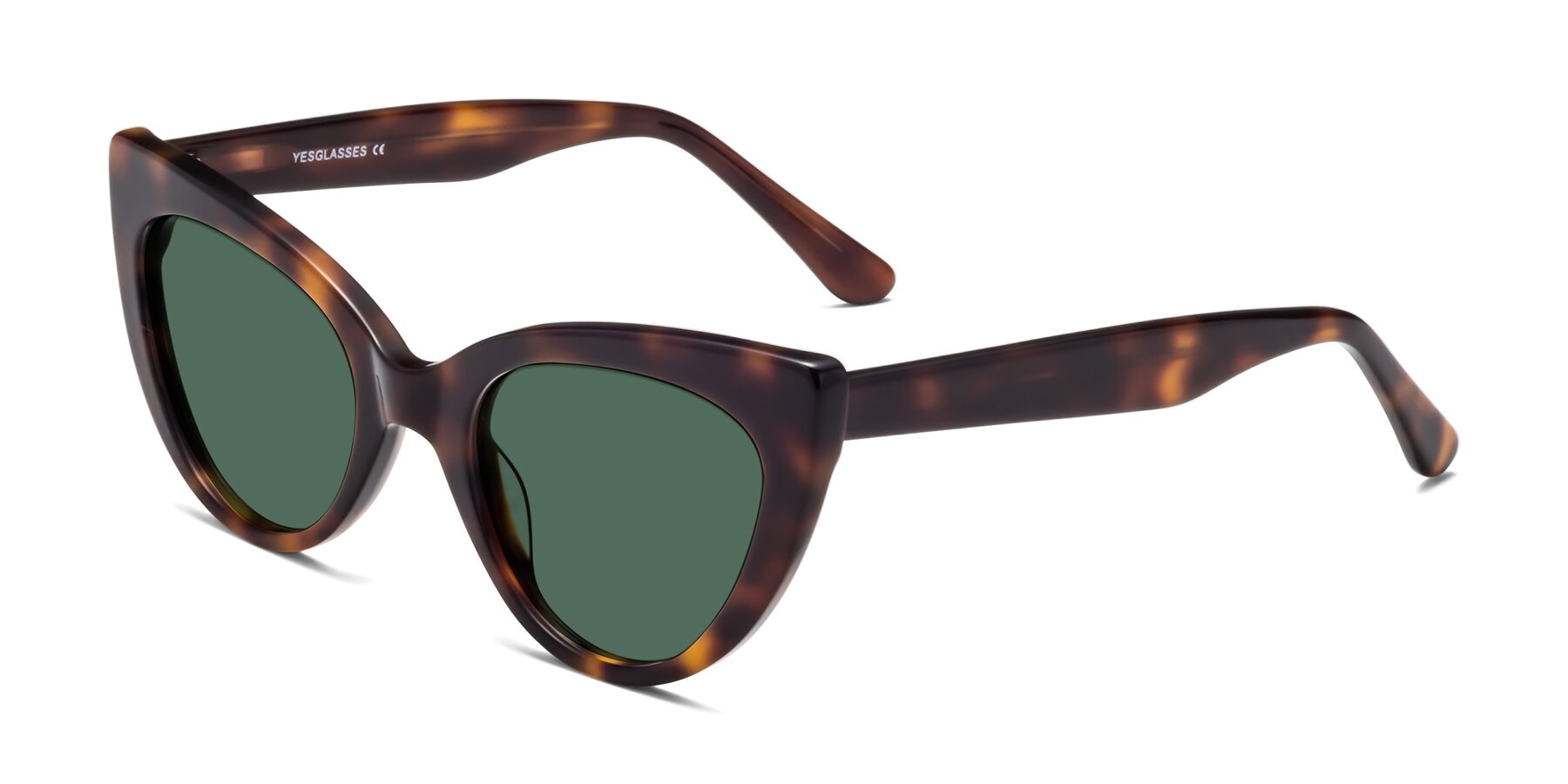 Angle of Tiesi in Tortoise with Green Polarized Lenses
