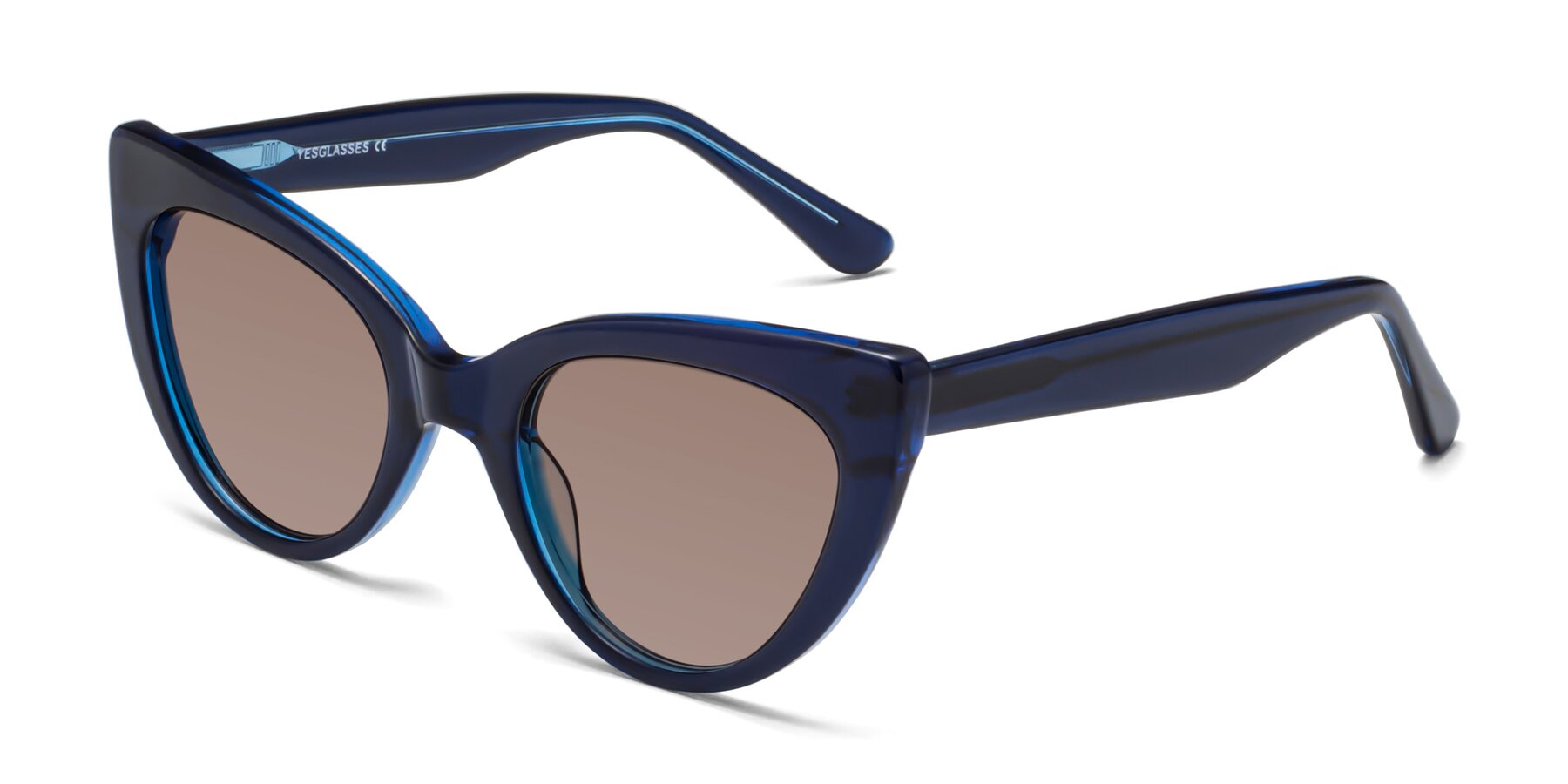 Angle of Tiesi in Midnight Blue with Medium Brown Tinted Lenses