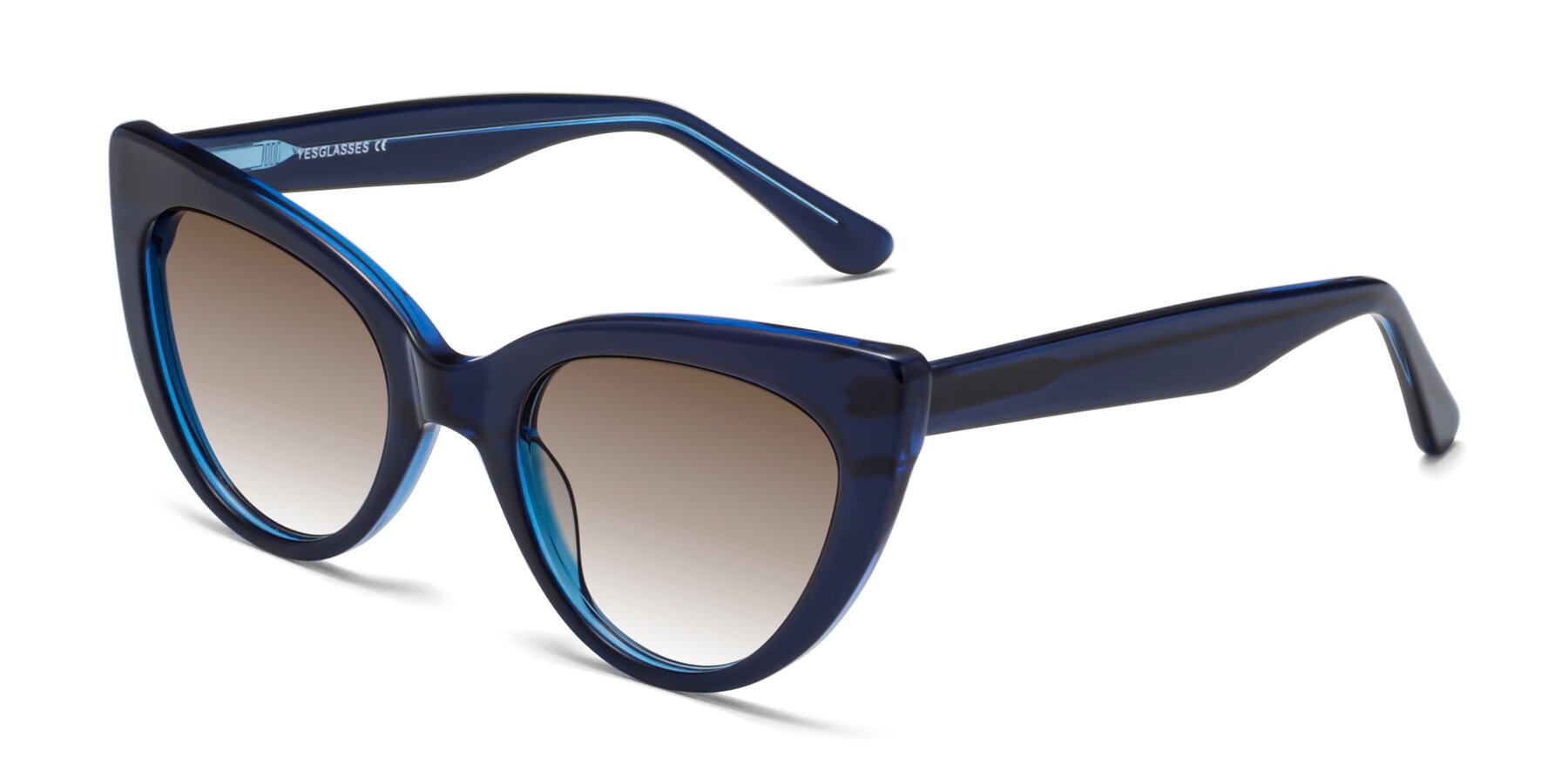 Angle of Tiesi in Midnight Blue with Brown Gradient Lenses