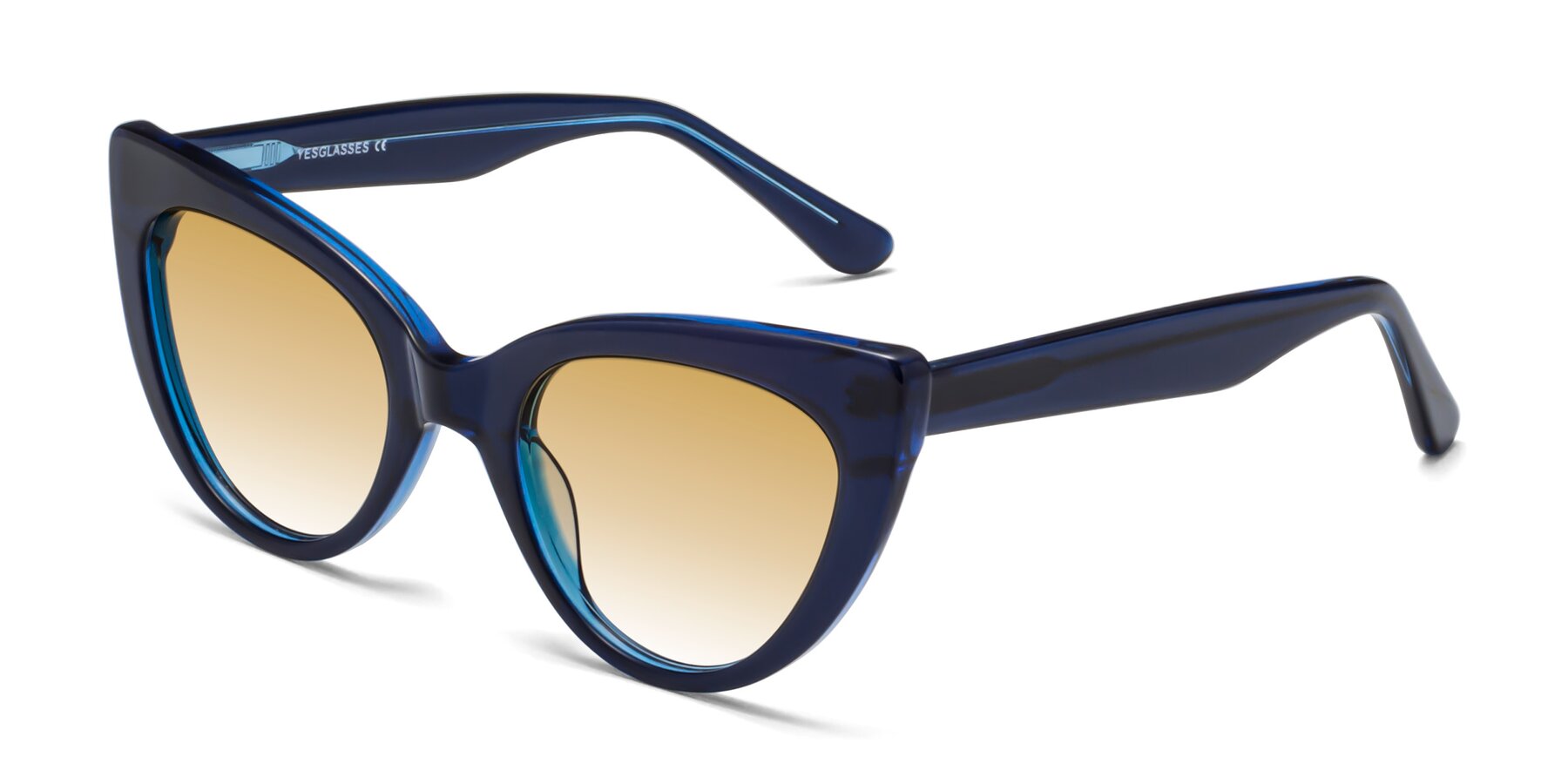 Angle of Tiesi in Midnight Blue with Champagne Gradient Lenses
