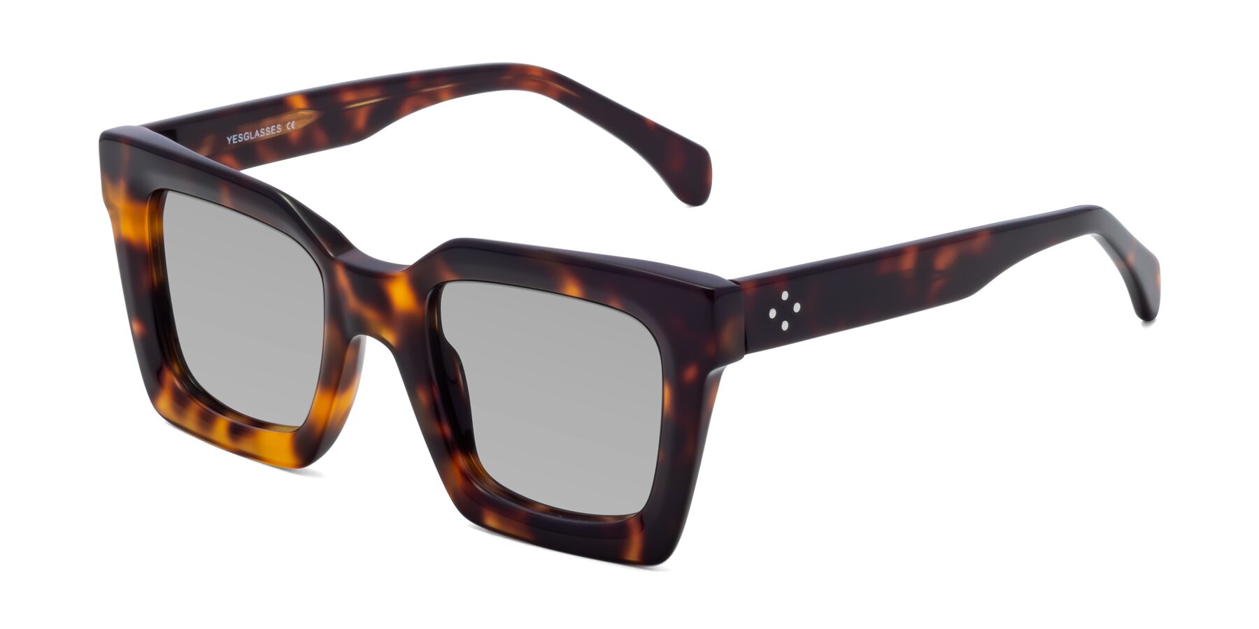 Angle of Piper in Tortoise with Light Gray Tinted Lenses
