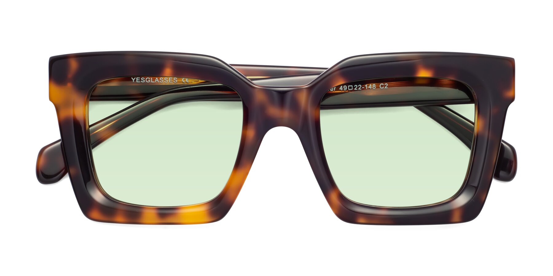 Folded Front of Piper in Tortoise with Light Green Tinted Lenses
